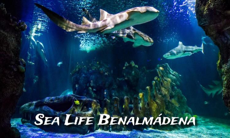 Benalbeach Loft Бенальмадена Екстер'єр фото